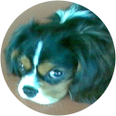 Sharon Padovan Sharon Padovan